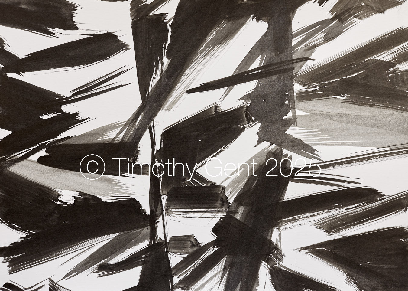 Large image of Latitude Study ink painting